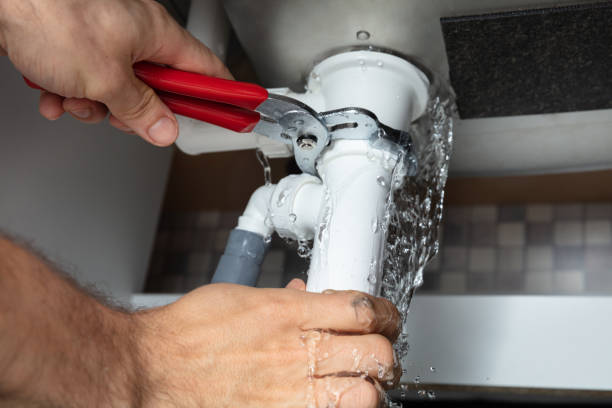 Best Basement water damage restoration  in Wailea, HI
