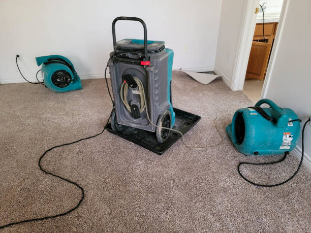 Best Water damage cleanup near me  in Wailea, HI