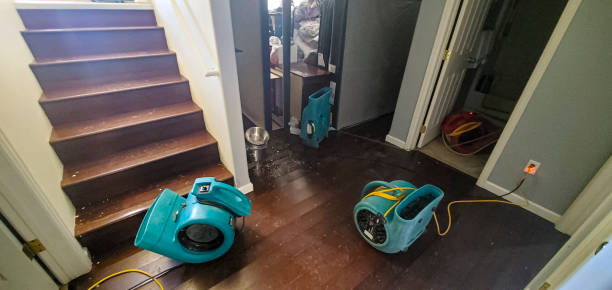 Best Carpet water damage restoration  in Wailea, HI