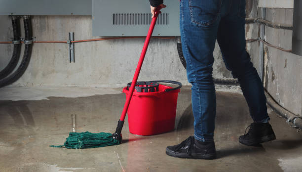 Best Professional water damage repair  in Wailea, HI