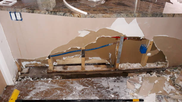 Best Water damage contractors near me  in Wailea, HI