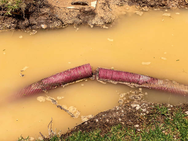 Trusted HI Water damage restoration Experts